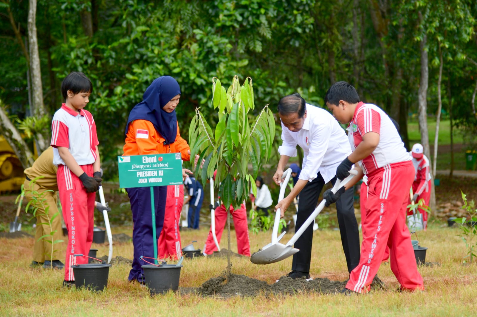 Presiden Tegaskan Pentingnya Rehabilitasi dan Reklamasi Pascatambang