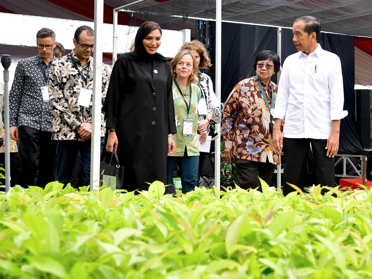 Presiden Jokowi Resmikan Persemaian Mentawir untuk Rehabilitasi Hutan Kalimantan