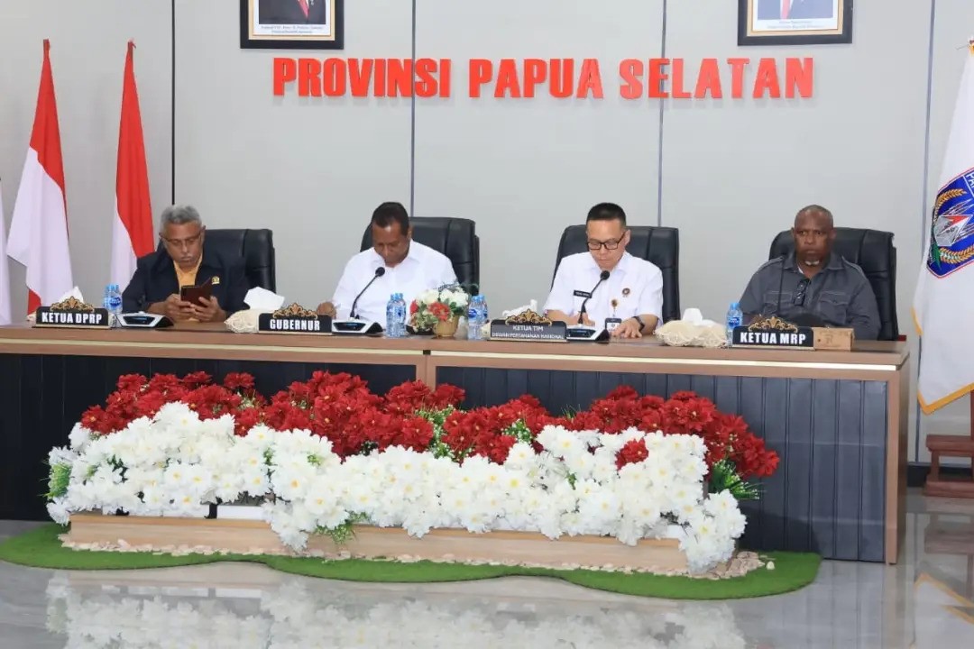 DPN Petakan Kesiapan Pertahanan dan Potensi Strategis Papua Selatan sebagai Pusat Pertumbuhan Baru