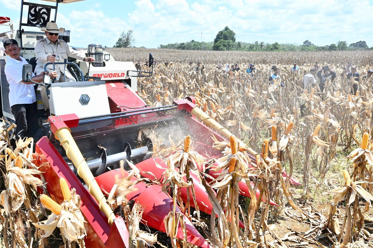 Panen Raya Jagung Seluas 344 Ribu Hektare, Presiden Prabowo Tegaskan Indonesia Siap Jadi Lumbung Pangan Dunia