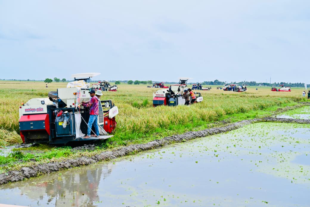 presidenri.go.id-08012026141408-695f59405caee6.50609057